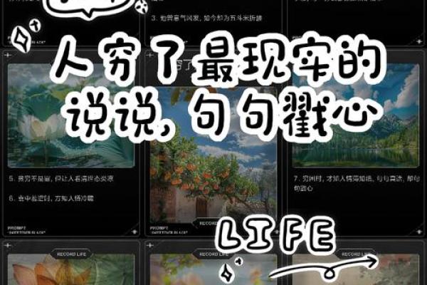 穷人的命：一辈子的挣扎与梦想碰撞的故事