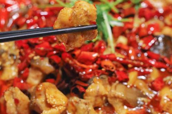 鲶鱼美味指南：探寻各种鲶鱼菜品的魅力与风味