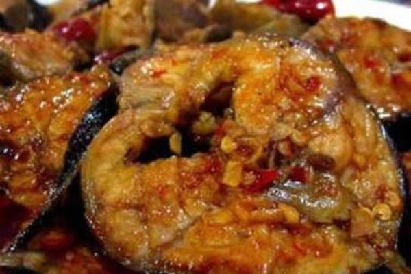 鲶鱼美味指南：探寻各种鲶鱼菜品的魅力与风味