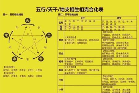 女命地支亥卯半合的深层解析与实用价值