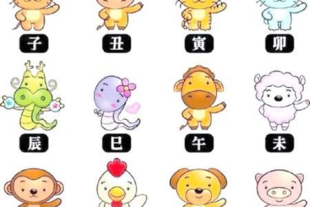 壬子年女命吉祥物解析：增强运势的神秘力量