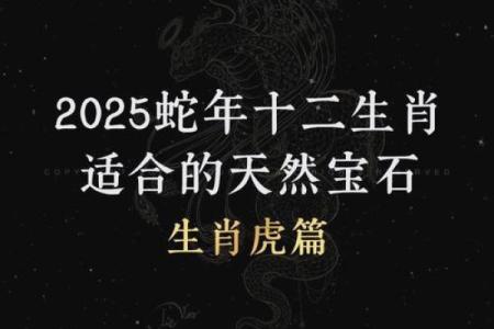 属虎的冬月初二出生者的命运解析与生活启示