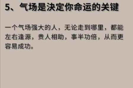 命与运的交织：人生的无常与选择之道