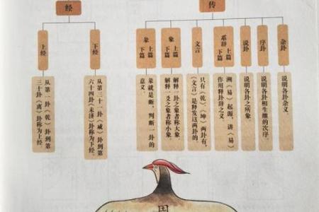 根据什么命什么是，探索生活的奥秘与智慧