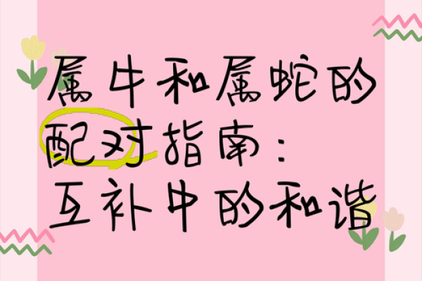 木命与其他命理的婚姻配对分析：相辅相成的幸福之路