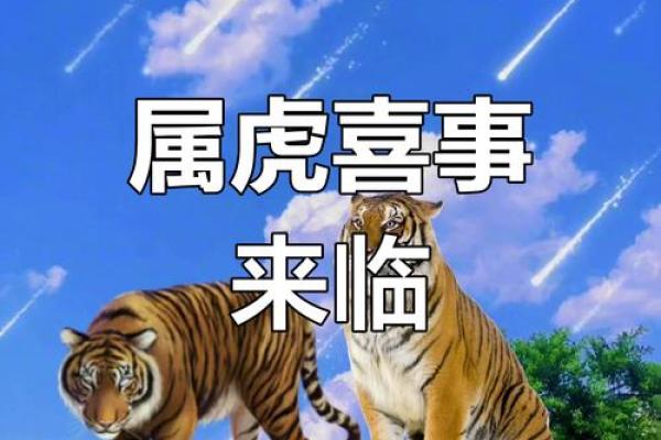 属虎的2022年运势解析：喜乐与挑战并存的旅程
