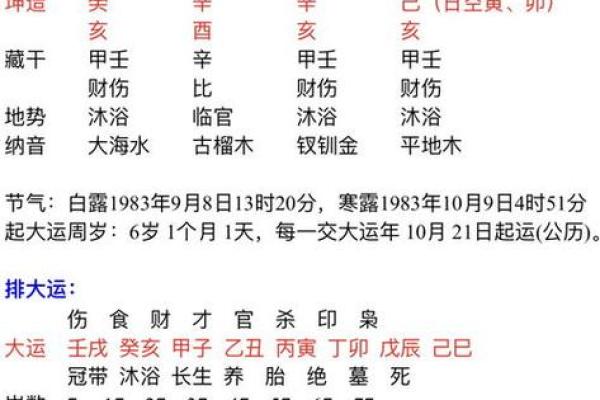 深入了解一月份出生者的五行命运分析与揭示