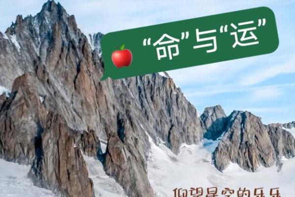 根据什么生什么命，探讨命运与选择的关系