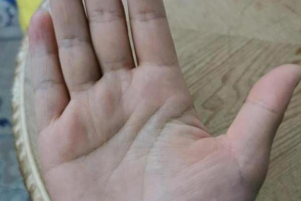 手掌大手指短的男人:命运与性格的有趣探寻 手掌大手指短的男人:命运与性格的有趣探寻