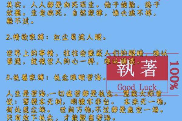 人拗不过命,生命的无常与追寻的智慧 人拗不过命,生命的无常与追寻的智慧