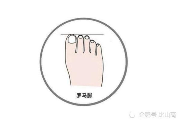 揭秘脚趾形状与命运：你是富贵命的潜在象征吗？