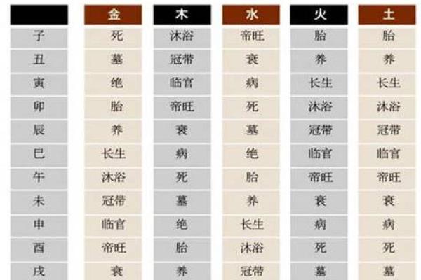 三元命理中的宫5命解析：探寻五宫命运的奥秘与智慧