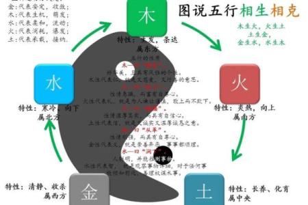 深入了解一月份出生者的五行命运分析与揭示