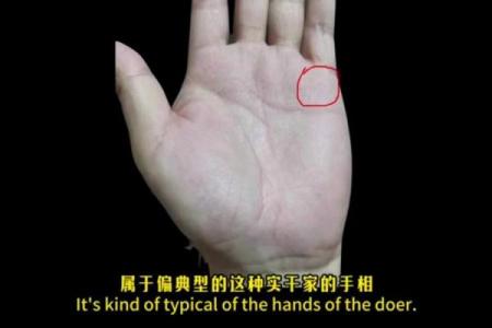 揭示富贵命男命的手相特征，财富与成功的秘密！