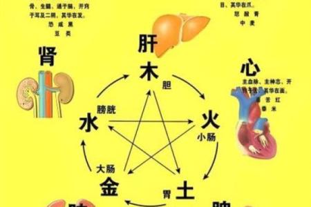 如何养金命与克金命，揭秘五行之道的奥秘