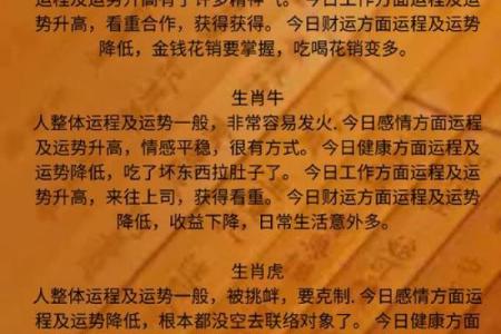 属木命的人应忌的属相：探秘命理背后的深意与选择