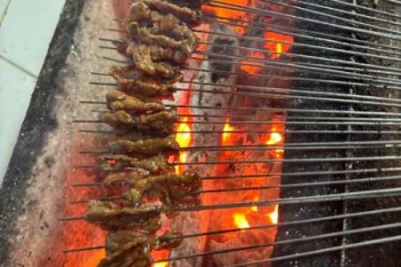 木命人专属烧烤：品味自然的美食之旅