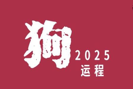 属狗人霉运已过，迎来转机的命运之路！