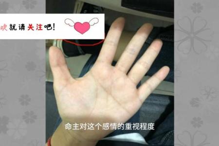 手掌大手指短的男人：命运与性格的有趣探寻
