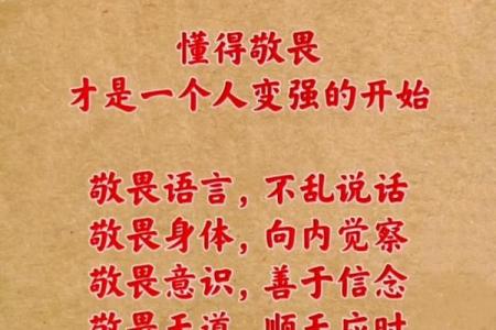 解读双煞童子命的奥秘与智慧，与人生的意义相遇