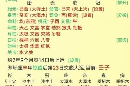 男命身旺官杀弱：解析命理背后的财富与机遇