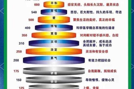 命理的奥秘：揭示个体命运与性格的深层关系