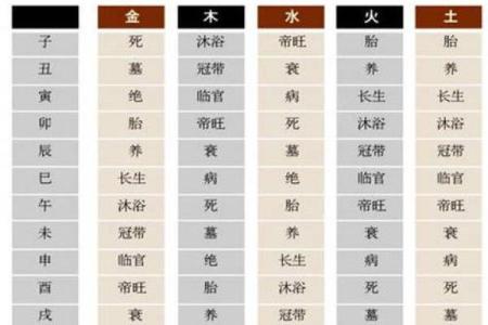 三元命理中的宫5命解析：探寻五宫命运的奥秘与智慧