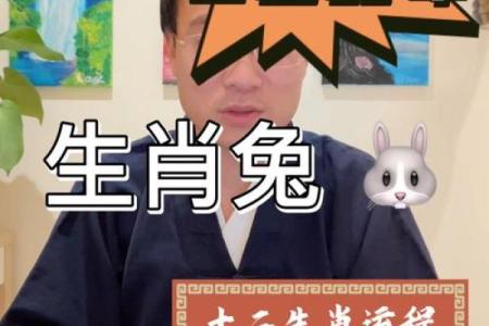 属兔者九月出生，命理解析与人生运势