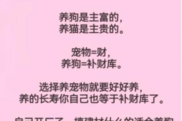 根据命理选择适合你的狗狗：养犬与八字的完美结合