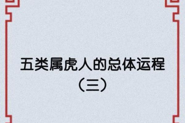 属虎鼠出洞，揭秘命理与风水的奥秘