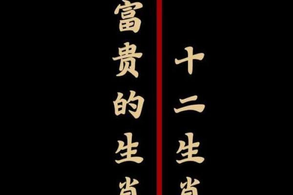 属虎鼠出洞，揭秘命理与风水的奥秘