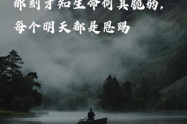 命运无常，蓦然回首的诗意人生