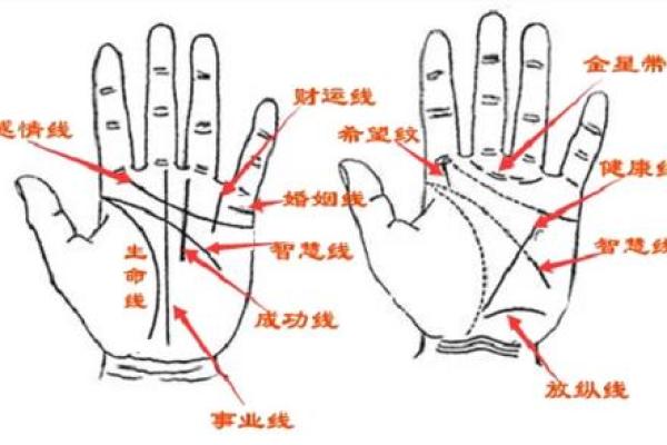 揭秘男人手相:哪些特征预示着当官命格? 揭秘男人手相:哪些特征预示着当官命格?