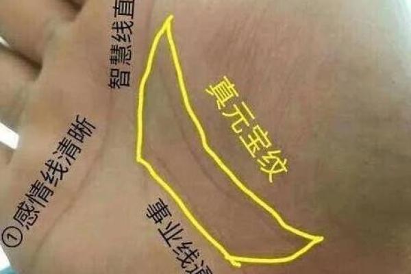 揭秘男人手相:哪些特征预示着当官命格? 揭秘男人手相:哪些特征预示着当官命格?