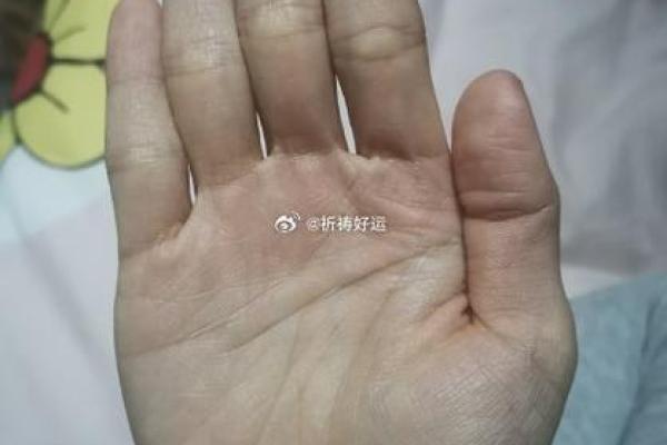 手指上的角度:从手指的形态看你的命运轨迹 手指上的角度:从手指的形态看你的命运轨迹