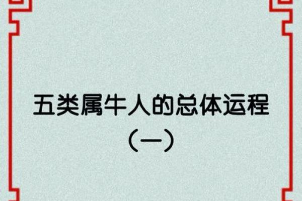 属牛之人：探寻五行命理中的奥秘与人生智慧