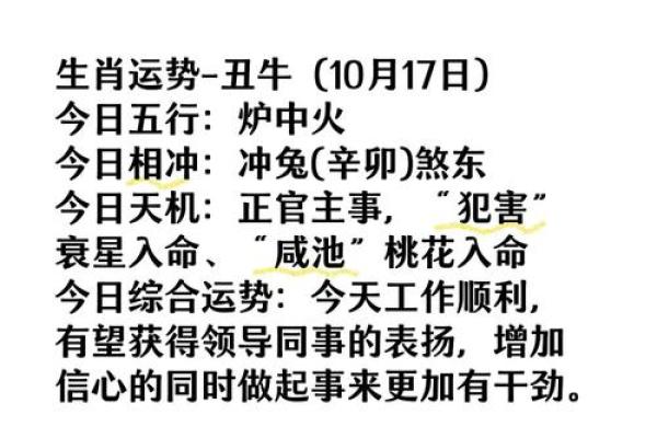 属牛人的命理解析：勤奋与坚韧相伴的财富之路