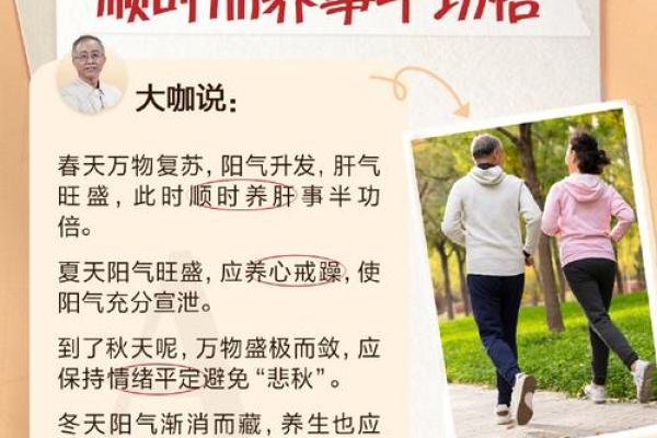 桑木命与最佳命格搭配,探寻和谐美满的生活之道 桑木命与最佳命格搭配,探寻和谐美满的生活之道