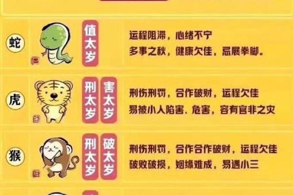 属猴的2016年：如何把握命理之路，实现美好人生