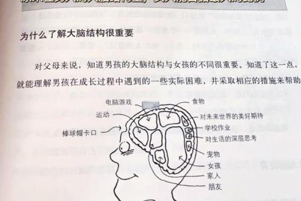 十点出生的孩子：命运的独特轨迹与人生解析
