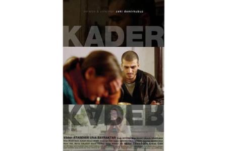 命运的多样性：为何有的人生辉煌而有的人悲惨？