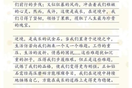 女子命强：她们如何在逆境中绽放光彩