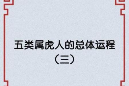 属虎鼠出洞，揭秘命理与风水的奥秘