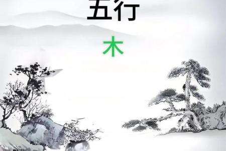 木命人与五行合用：相生相克的和谐美学