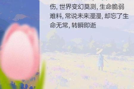 命运无常，蓦然回首的诗意人生