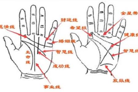 揭秘男人手相：哪些特征预示着当官命格？