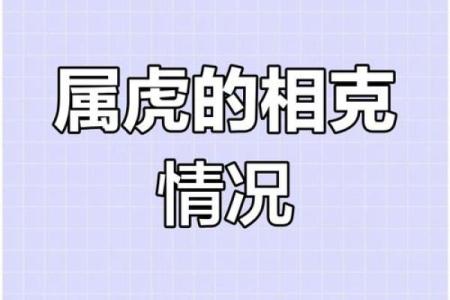 属虎之人为什么命运普遍被认为很好？