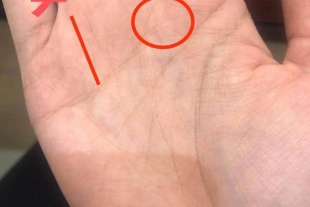 揭密贪狼命格：破解命运中的财富与情感纷争之道