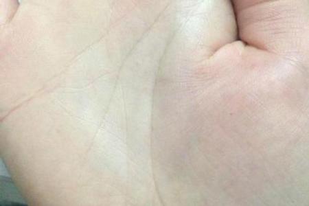 女生左手川字纹的命运解析：揭示你内心深处的秘密与潜力