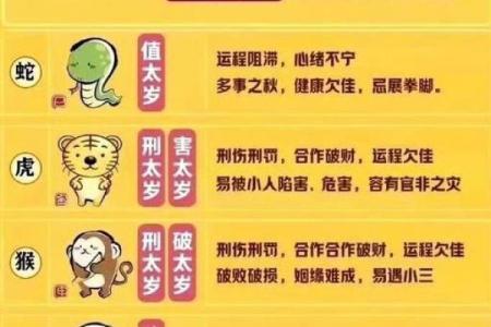 属猴的2016年：如何把握命理之路，实现美好人生